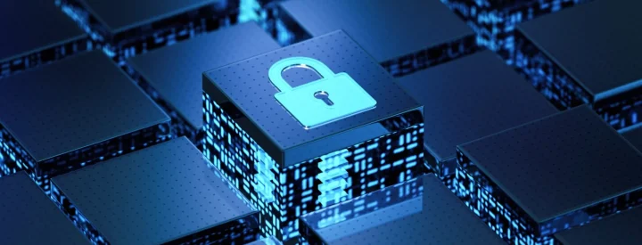 Security-image-smaller
